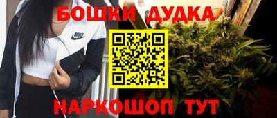 PSILOCYBIN Новозыбков