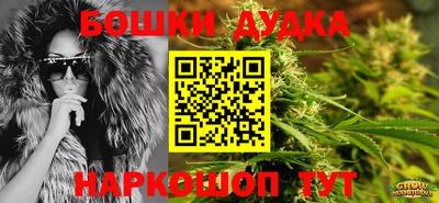 первитин Новодвинск