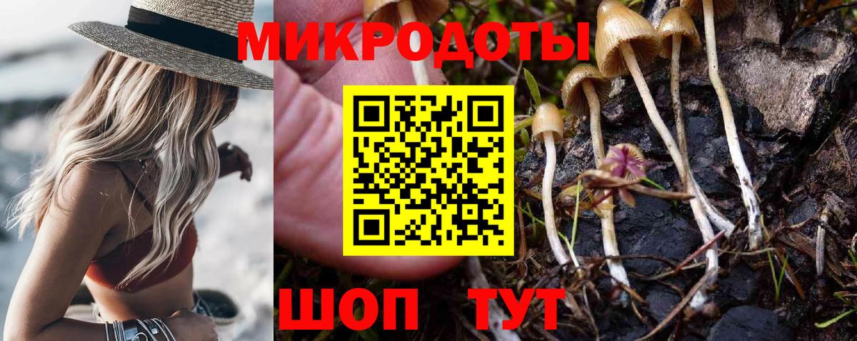 Псилоцибиновые грибы Psilocybe  Вход с VPN  Галлюциногенные грибы ЛСД  Усть-Джегута 